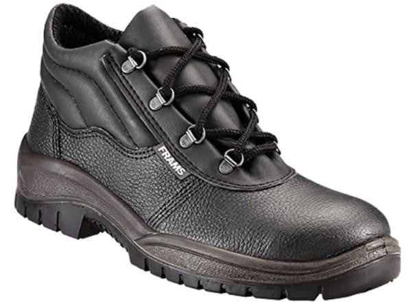 FRAMS 4911 GEO-TREK